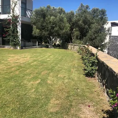 Architecture Awarded Villa With Amazing Terrace Vilă